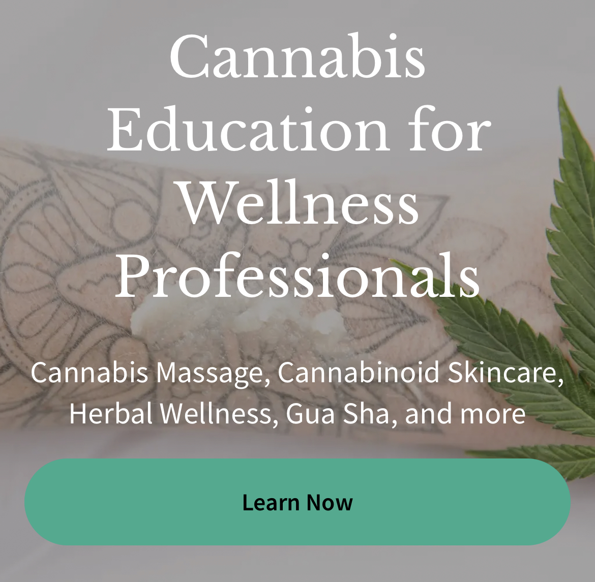 Cannabis Education for Wellness Professionals